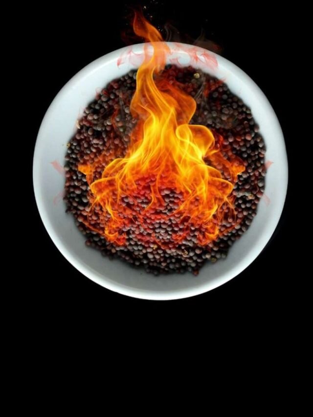 রোজ রাতে বাড়িতে পোড়ান কালো সর্ষে, ব্যস! তাতেই খেলা শুরু