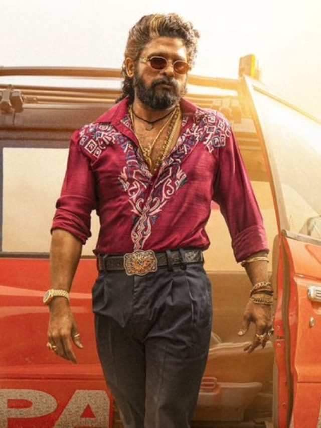 इस एक्टर की आवाज के दम पर अल्लू अर्जुन ने 1 दिन में कमाए 72Cr, जानें कौन?