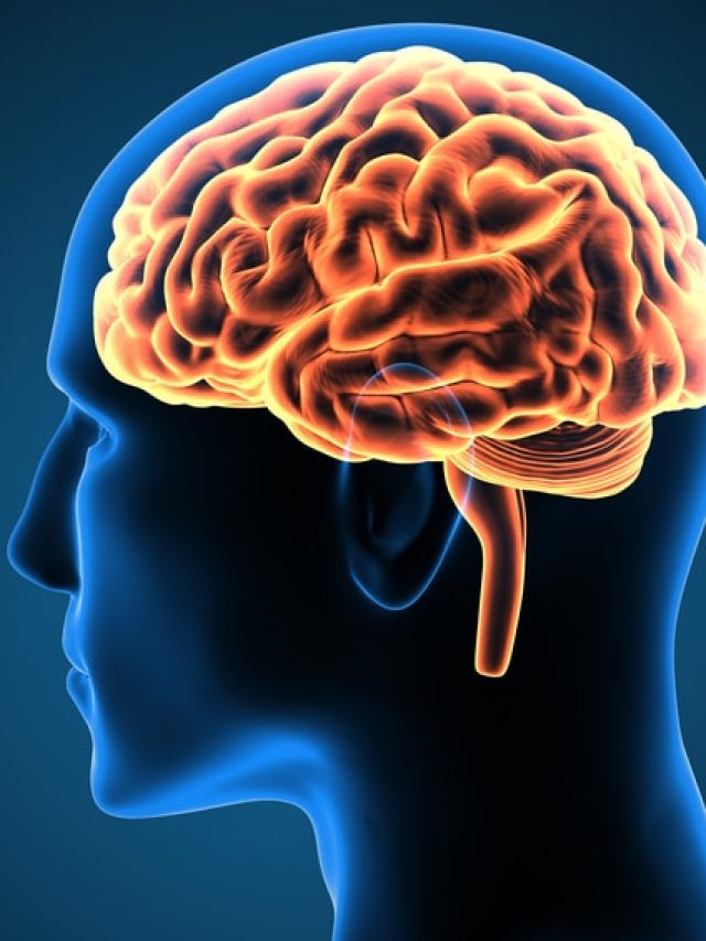 এটাই 'মাথার খাবার',  বাংলার এই শাক খেলে বুদ্ধির গোড়ায় শান পড়বে