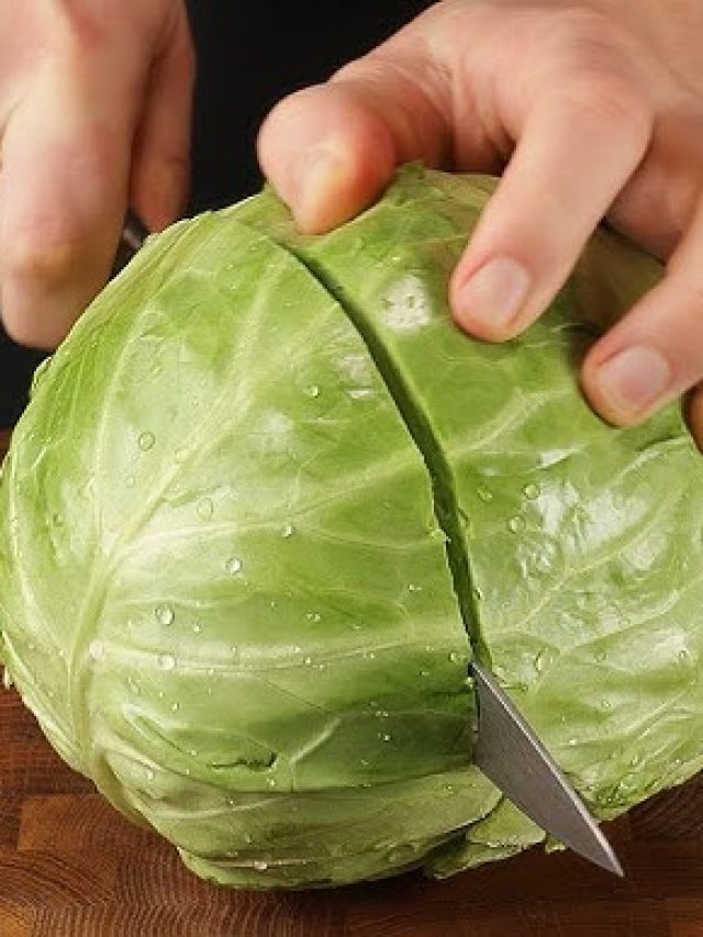 ছুরি-বঁটি কিছুই লাগবে না, স্টিলের গ্লাসেই মিহি করে কেটে ফেলুন গোটা বাঁধাকপি