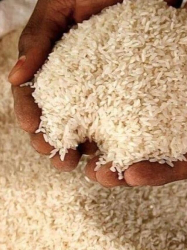 চাল, ডাল, আটায় পোকা ধরবে না, খালি বয়ামে রেখে দিন এই পাতা