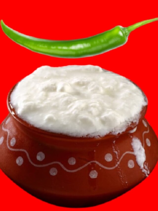 দু'ঘণ্টাতেই দই জমে শক্ত হবে, এই ৫ টিপস জানেন?