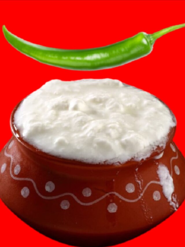 খালি লাগবে একটা কাঁচা লঙ্কা, ঘরেই পাতুন ঘন-জম্পেশ দই: রেসিপি