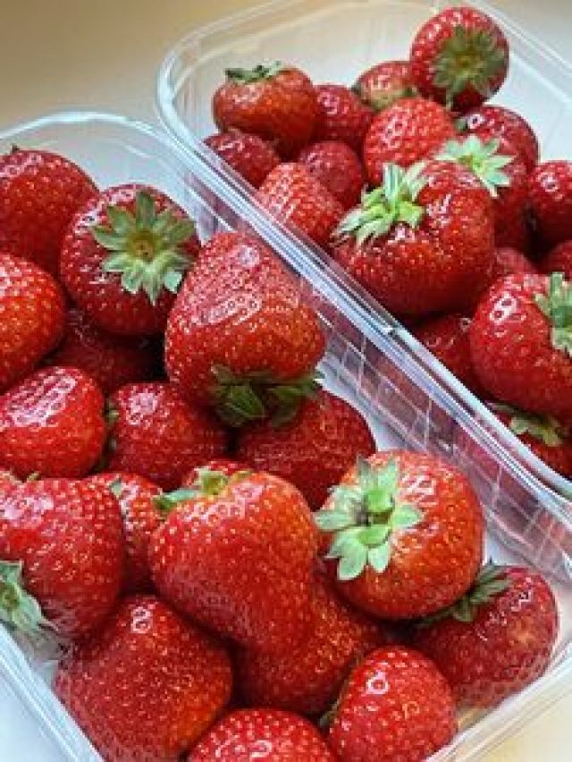 गमले में उगाएं स्ट्रॉबेरी का पौधा, सिर्फ 2 महीने में आने लगेंगे फल, जान लें तरीका