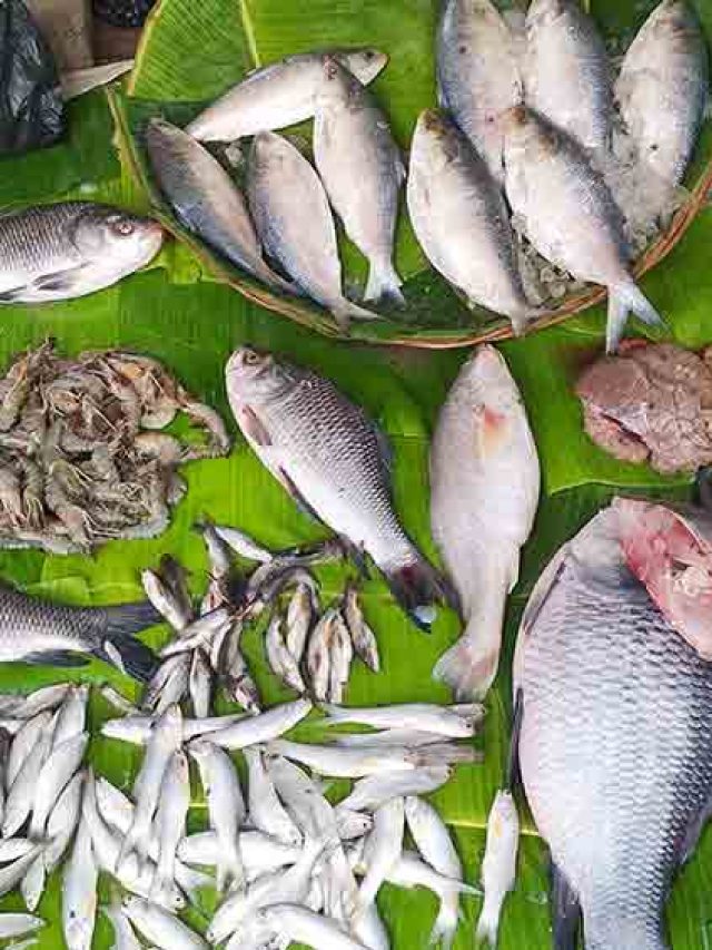 সস্তার এই মাছ খেলেই সর্বনাশ, হাঁপানি বা বাত থাকলে ভুলেও খাবেন না
