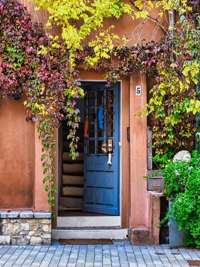 বাড়ির প্রধান দরজায় এই জিনিসটি ঝুলিয়ে দিন, টাকা আসবে সবসময়