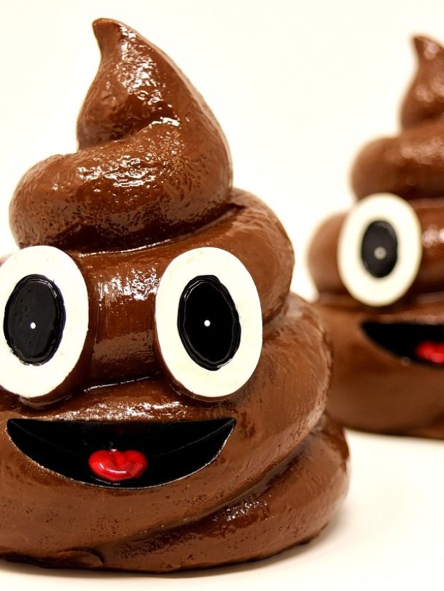 পায়খানার রং দেখে বুঝে নিন শরীরের অবস্থা, অত্যন্ত জরুরি তথ্য