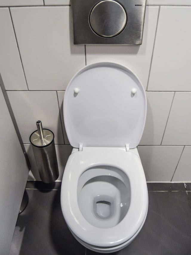 এই ৩ জিনিস মিশিয়ে বানান টয়লেট ক্লিনার, এক ওয়াশেই ঝকঝক করবে কমোড