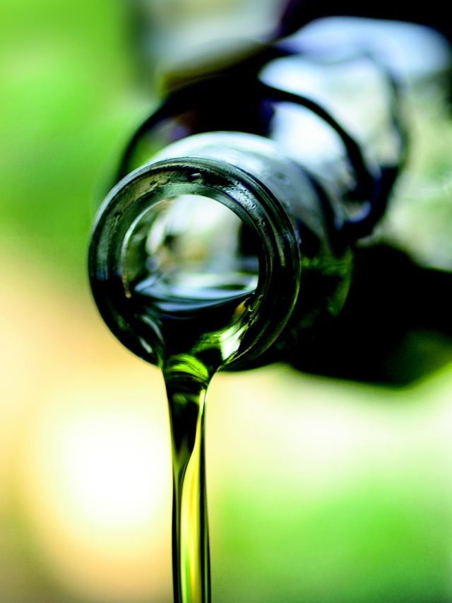 শীতে এই তেল রান্নার জন্য সেরা, কারণ জানুন ডায়েটিশিয়ানের থেকেই