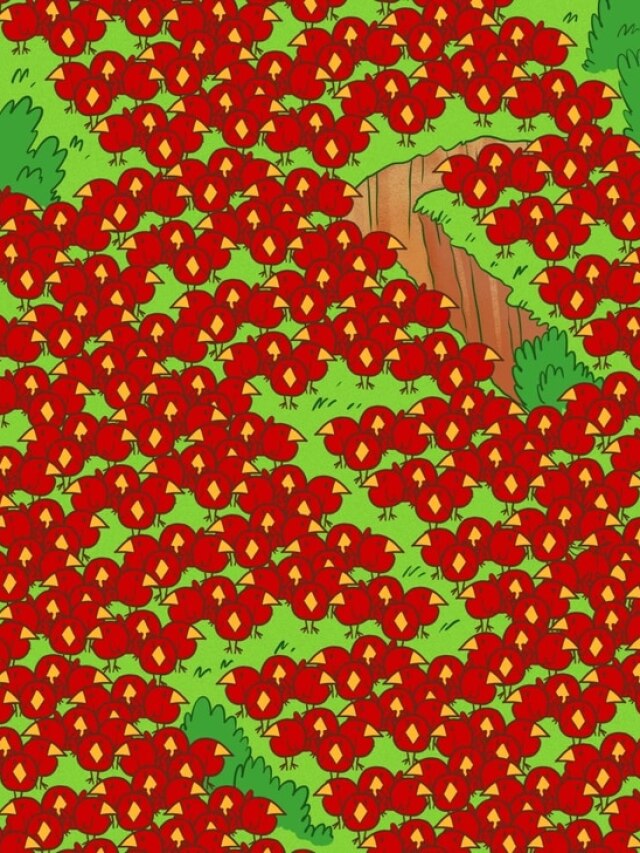 Quiz: पक्षियों के बीच छिपे हैं 2 सेब, 7 सेकंड में खोजने का चैलेंज करें ट्राई