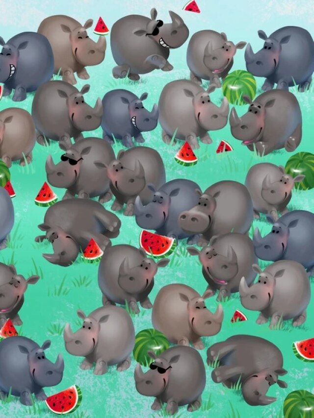 Rhinos के बीच में छिपा है एक Hippo, क्या 5 सेकंड में ढूंढ पाएंगे आप?
