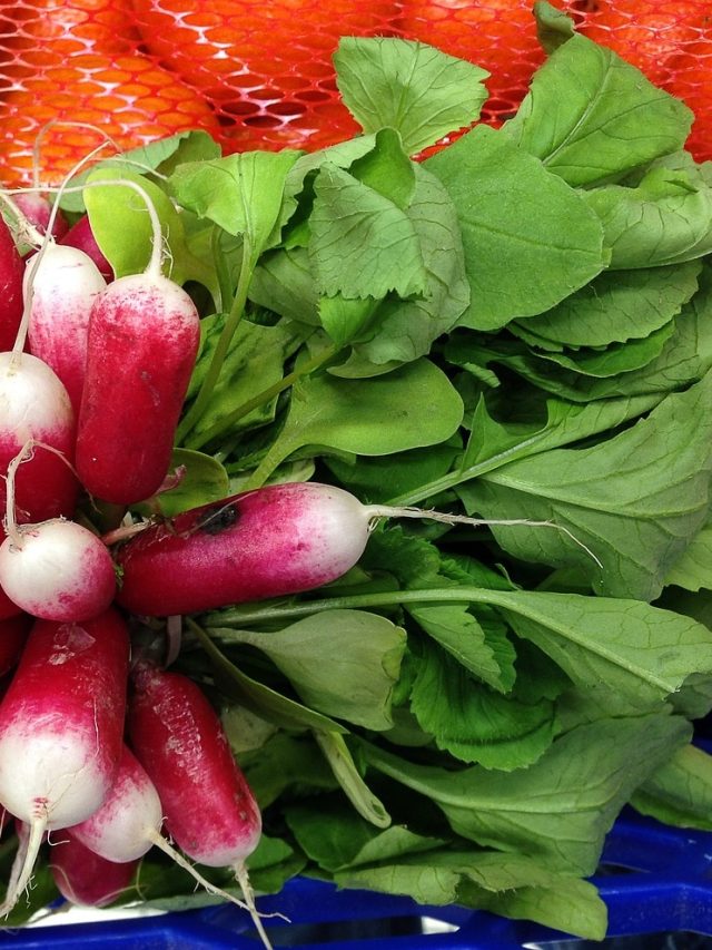 মুলো পাতা আর ফেলবেন না, এই ৪ কারণে অবশ্যই খান