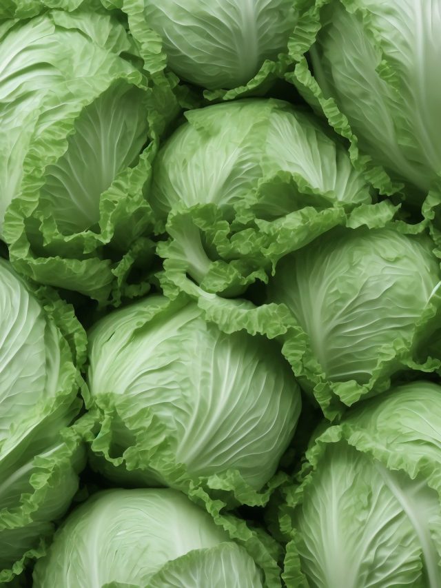 বাঁধাকপির ইংরেজি অনেকেই জানে না, আপনার মনে আছে?