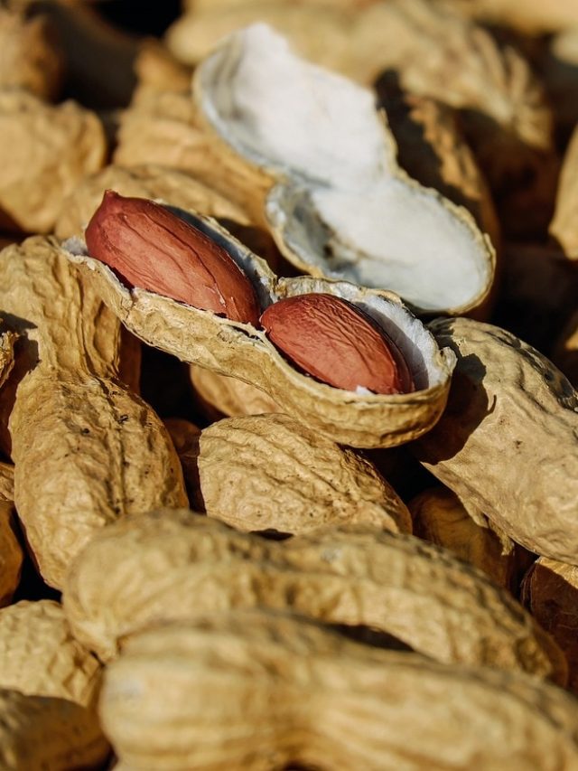 ঝুলে যাচ্ছে ত্বক? কোলাজেন বাড়াতে রোজ খান এই সস্তার বাদাম