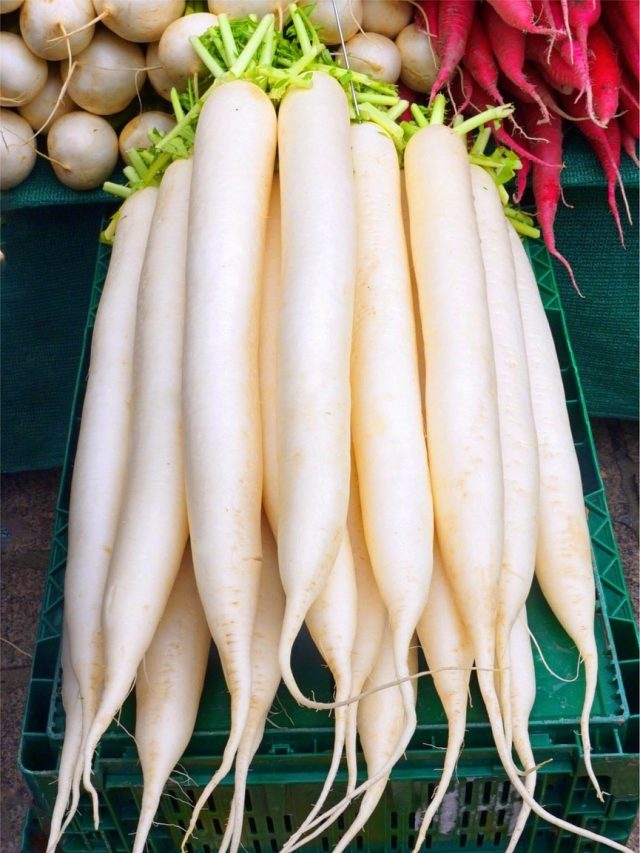 মুলোর সঙ্গে ভুলেও এই ৪ জিনিস খাবেন না, পেটে অত্যধিক গ্যাস হবে