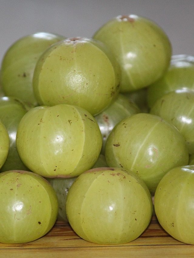 আমলকিতেই  শীতে থাকবেন ফিট, কখন-কীভাবে খাবেন? আয়ুর্বেদের টিপস