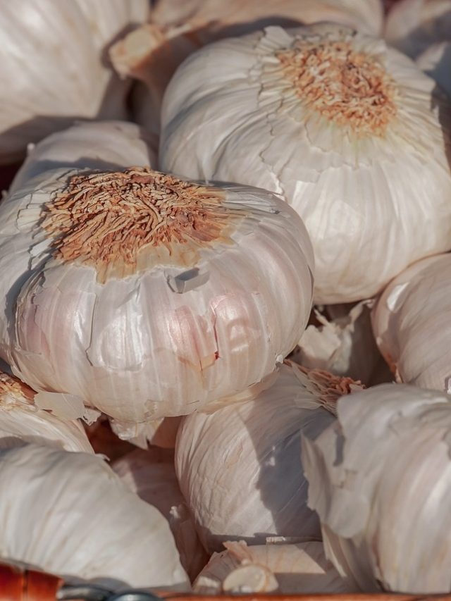 বাজারে গিয়ে আর ঠকতে হবে না, এভাবে চিনে নিন  চিনা ও দেশি রসুন