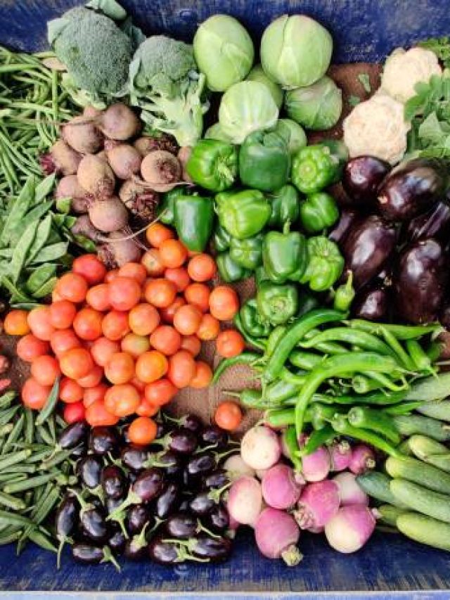 রামপটল কোন সবজির অপর নাম? বহু লোকই জানে না