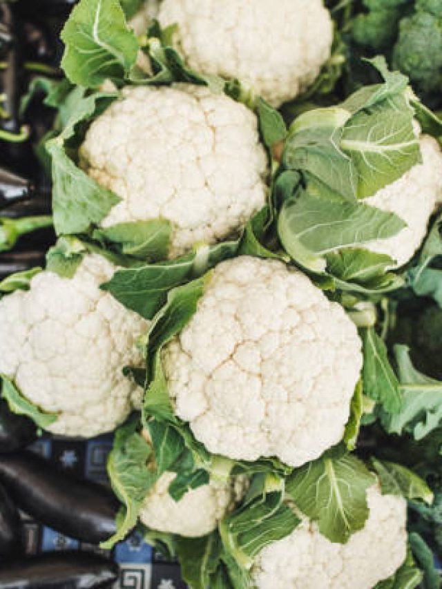 শীতে গড়াগড়ি খাবে, খেতেও চমৎকার; কিন্তু খাওয়ার আগে সাবধান