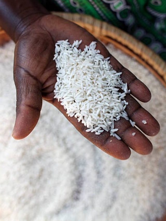 আতপ চালে 'আতপ' কথাটির অর্থ কী? অনেক শিক্ষকও জানেন না