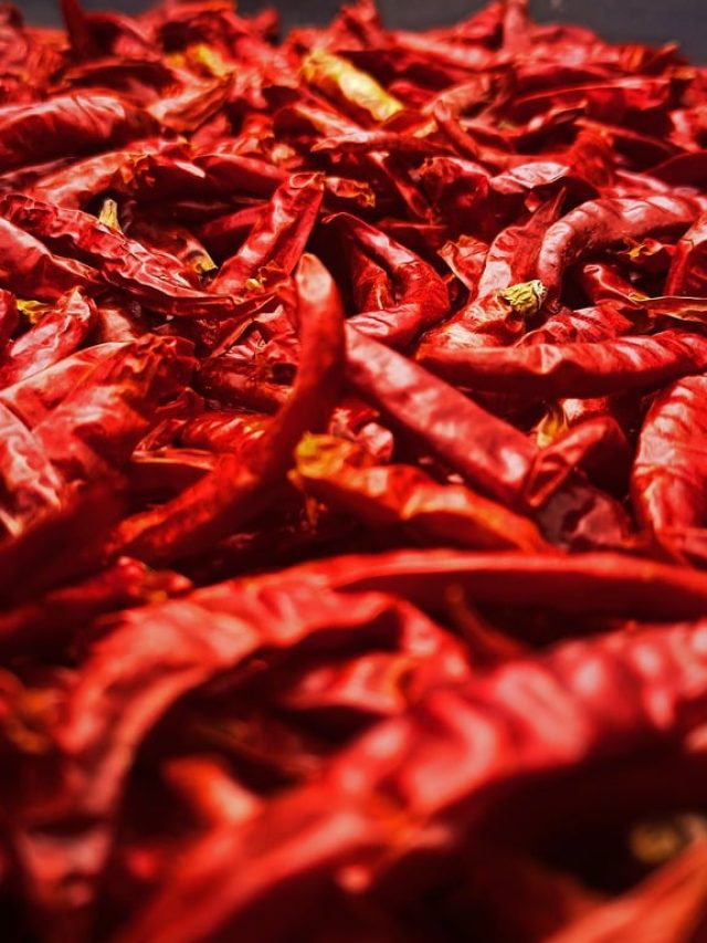 বুকপকেটে রাখুন ১টা  শুকনো লঙ্কা, ব্যাস তাতেই করবেন খেলায় কিস্তিমাত