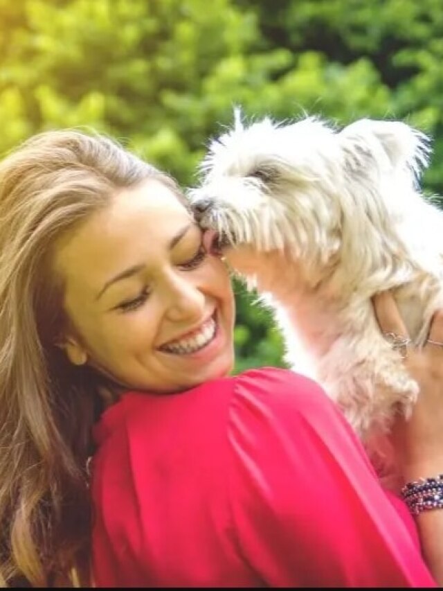 কুকুররা কেন মানুষকে চাটে? ৯৯% মানুষ ভুলটা জানেন