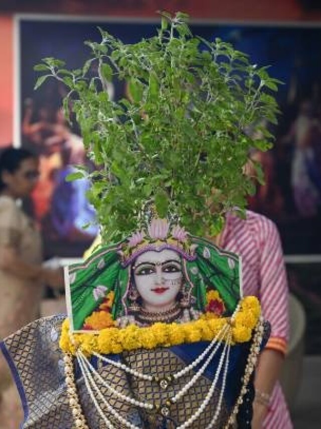 देवउठनी एकादशी पर करें तुलसी से जुड़ा ये काम, मां लक्ष्मी बना देंगी धनवान