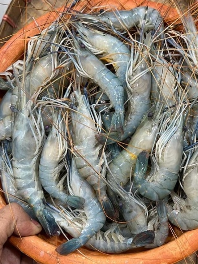 হিন্দিতে চিংড়ি মাছকে কী বলে? বাঙালি সবজির নাম লুকিয়ে