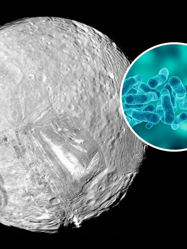 'Little green men': Mysterious ocean on Uranus's moon could hold clues to life beyond Earth