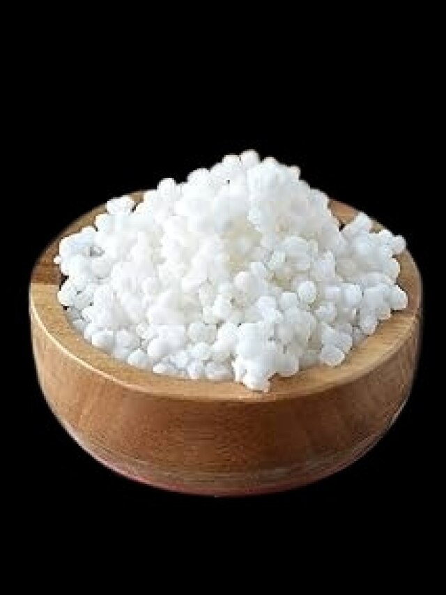 সাবু কোথা থেকে-কীভাবে তৈরি করা হয়? ৯৯ শতাংশ মানুষই জানেন না