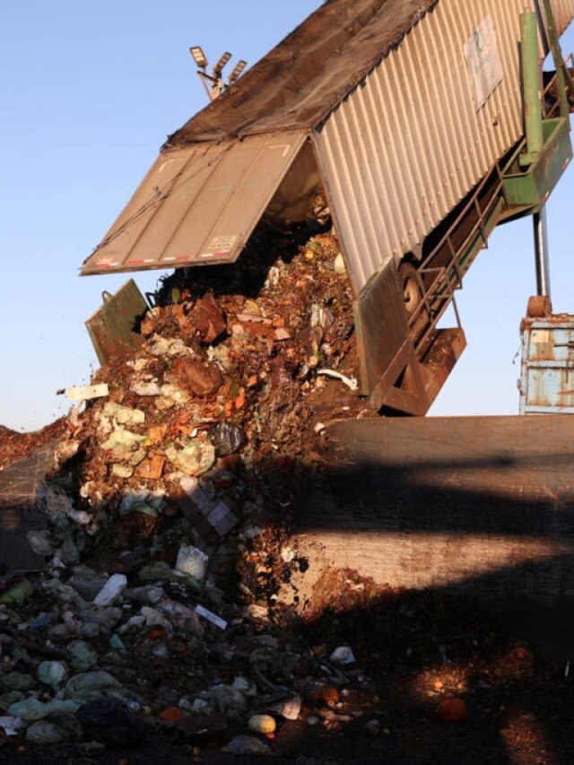 '30% global supply': How $1.5 trillion in wasted food fuels hunger and climate havoc