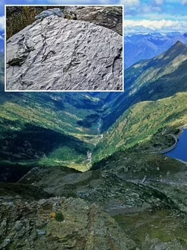 'A lost world': A hiker accidentally finds a 280-million-year-old secret hidden in the Alps