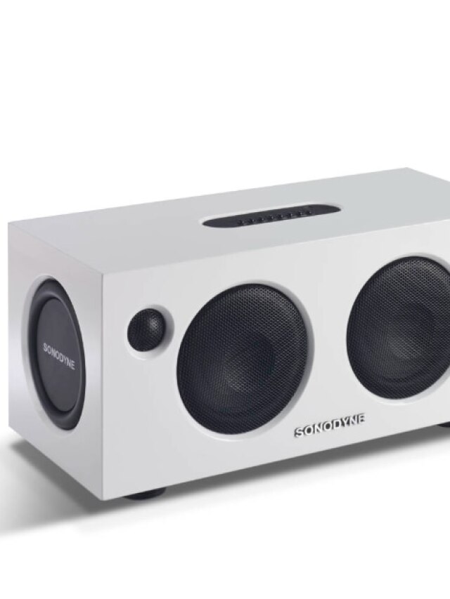 Sonodyne Malhar: The wireless speaker with a thump