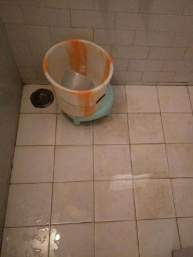 বাথরুমের মেঝেতে পিছলে যাচ্ছে পা, এই এক পাউডারেই হবে ঝকঝকে