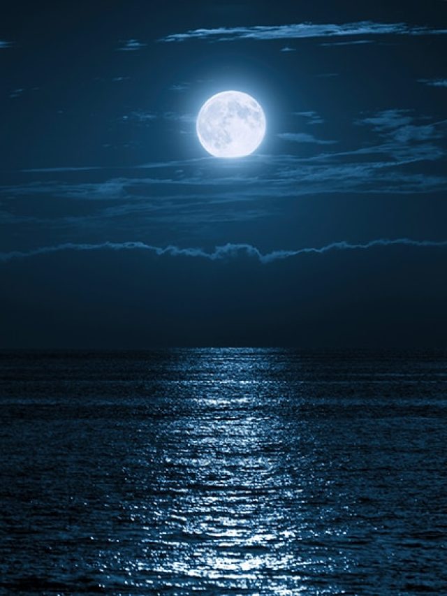 ‘Forget everything you knew’: Scientists reveal the Moon may have been ‘captured, not created’