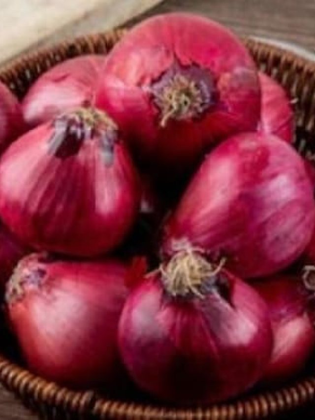 পেঁয়াজ আমিষ নাকি নিরামিষ? সত্যিটা এখনই জানুন