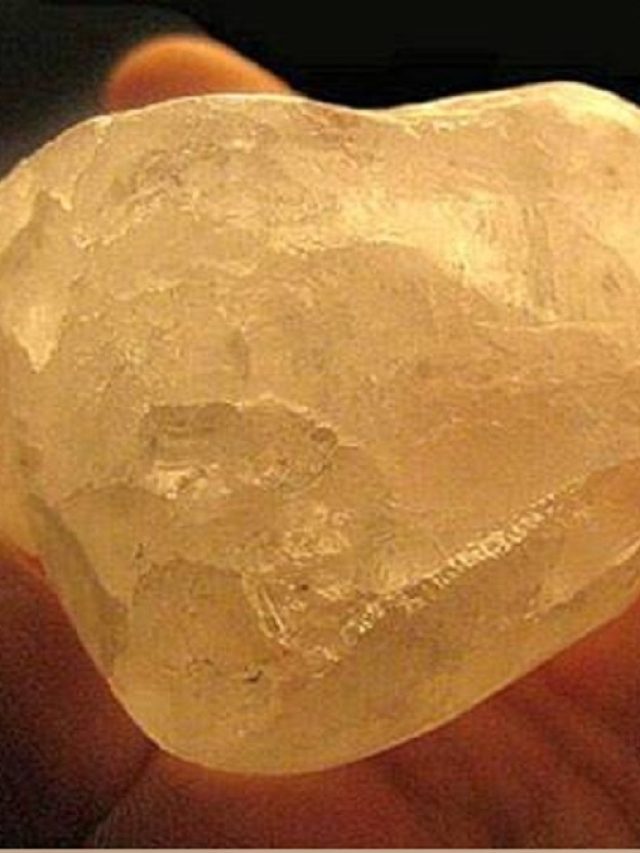 घर में इस जगह रख दें सफेद रंग का ये पत्थर, कभी खाली नहीं होगा बैंक बैलेंस