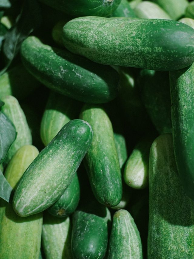 বাজারে মিলছে ভেজাল শসা, চিনে নিন এই সহজ উপায়ে