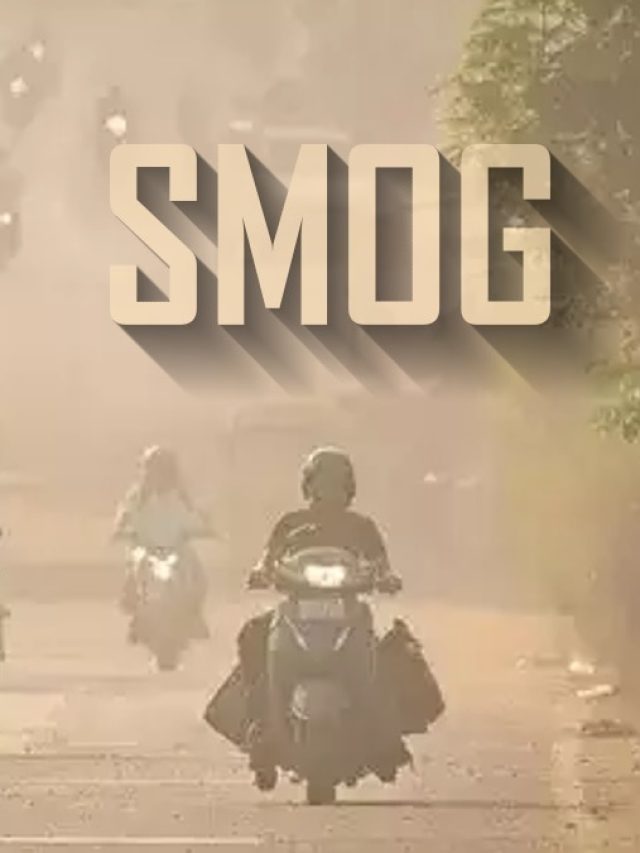 आंखों में जलन... सीने में घुटन! SMOG से ऐसे बचे दोपहिया चालक