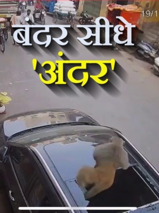 बंदर सीधे अंदर! सिरदर्द भी बन सकता है कार में Sunroof, अगर...!