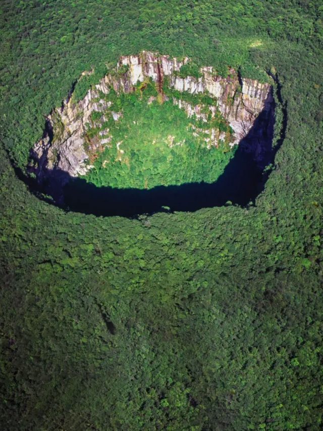 'Hidden worlds below': Could China's sinkholes be hiding alien-like creatures?