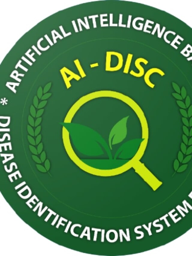 अब मोबाइल बताएगा फसलों की बीमारी, इंस्टॉल करें ये खास ऐप