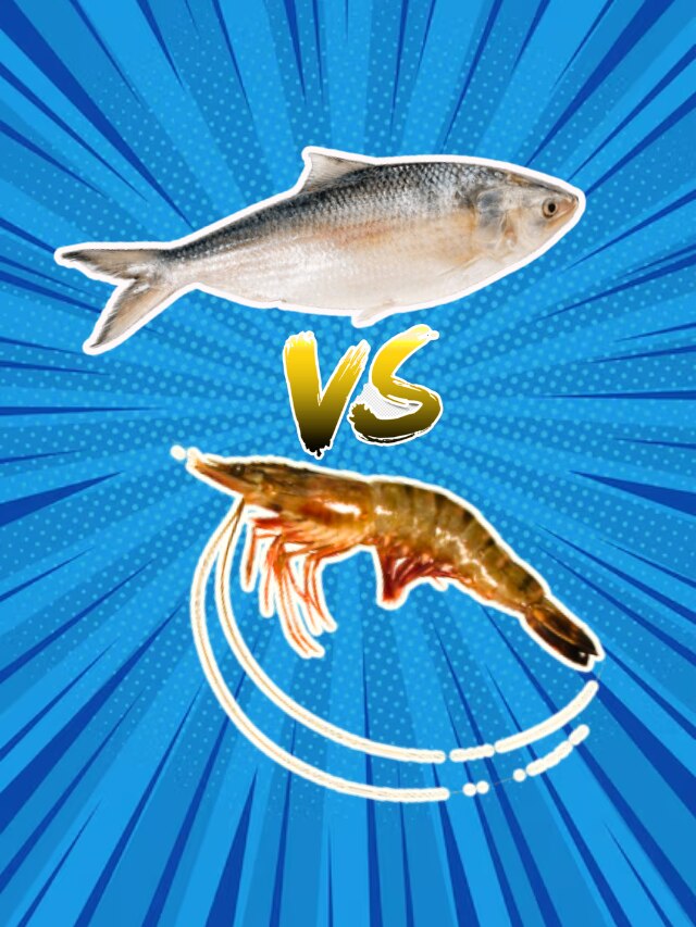 বাঙাল না ঘটি. রান্নায় সেরা কারা? উত্তরটা ফটাফট জেনে নিন