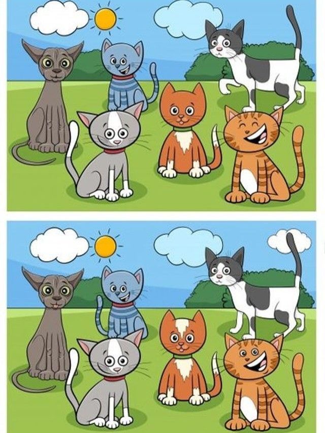 खुद को समझते हैं जीनियस तो 10 सेकंड में बताइए अंतर, दम है तो खोजकर दिखाएं