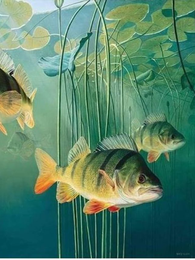 केले के पत्तों से बढ़ाएं तालाब का ऑक्सीजन लेवल, नहीं मरेंगी मछलियां