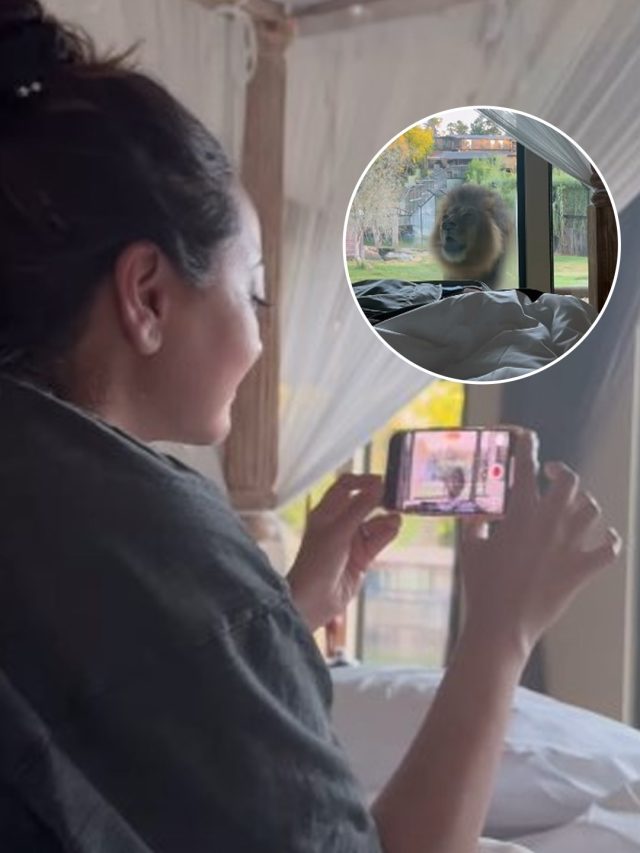 बेड पर सोनाक्षी, सामने खड़ा शेर, बीच में बस शीशे की दीवार, हैरान कर देगा वीडियो