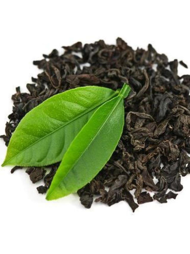 বাড়ির একটি পাত্রেই তৈরি হবে চা পাতা!  চা-প্রেমীরা নিয়ম জেনে নিন