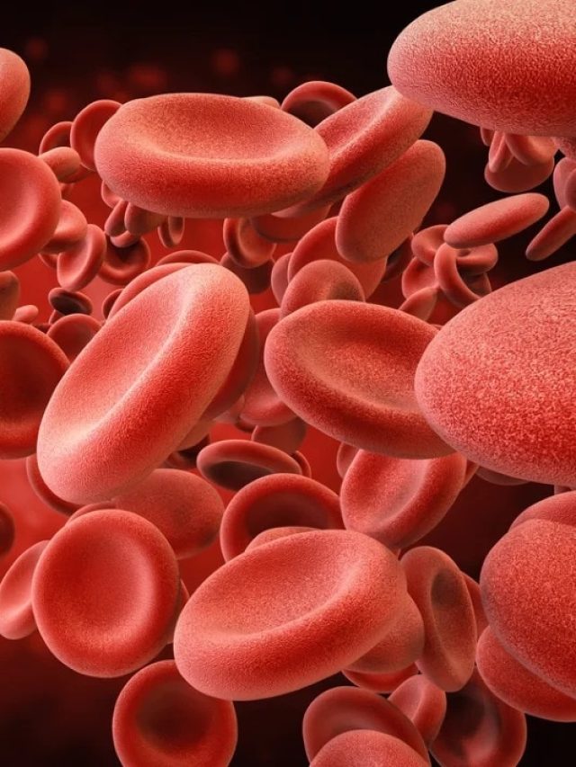 শরীরে রক্তের অভাবেব ইঙ্গিত দেয় এই লক্ষণ, বাড়িয়ে নিন ৫ সহজ উপায়ে