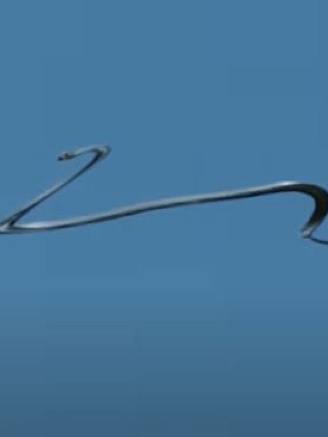 VIDEO: झारखंड में पहली बार दिखा उड़ने वाला सांप, हवा में गोता लगाकर करता है हमला!