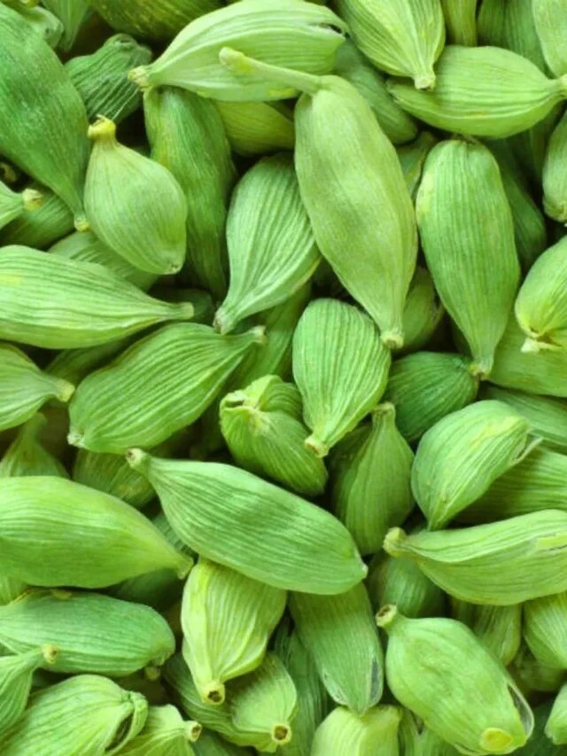 রাতে ঘুমোনোর আগে মুখে দিন ২টো এলাচ, কী উপকার হবে?